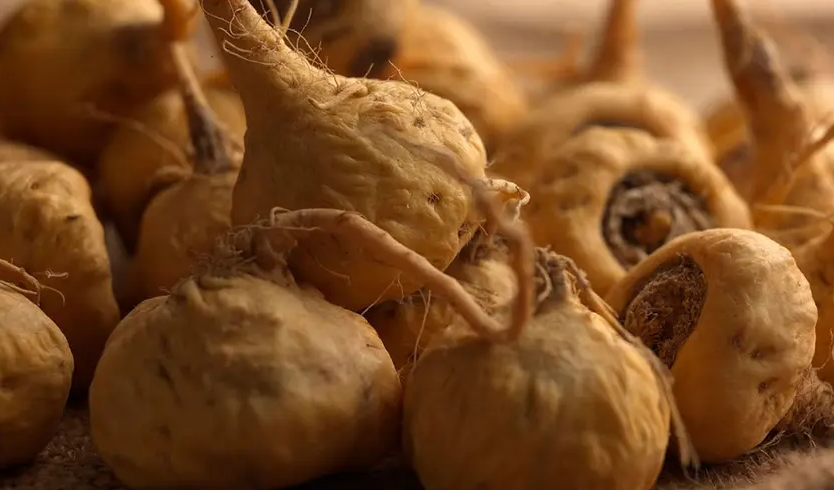 BENEFICIOS DE LA MACA