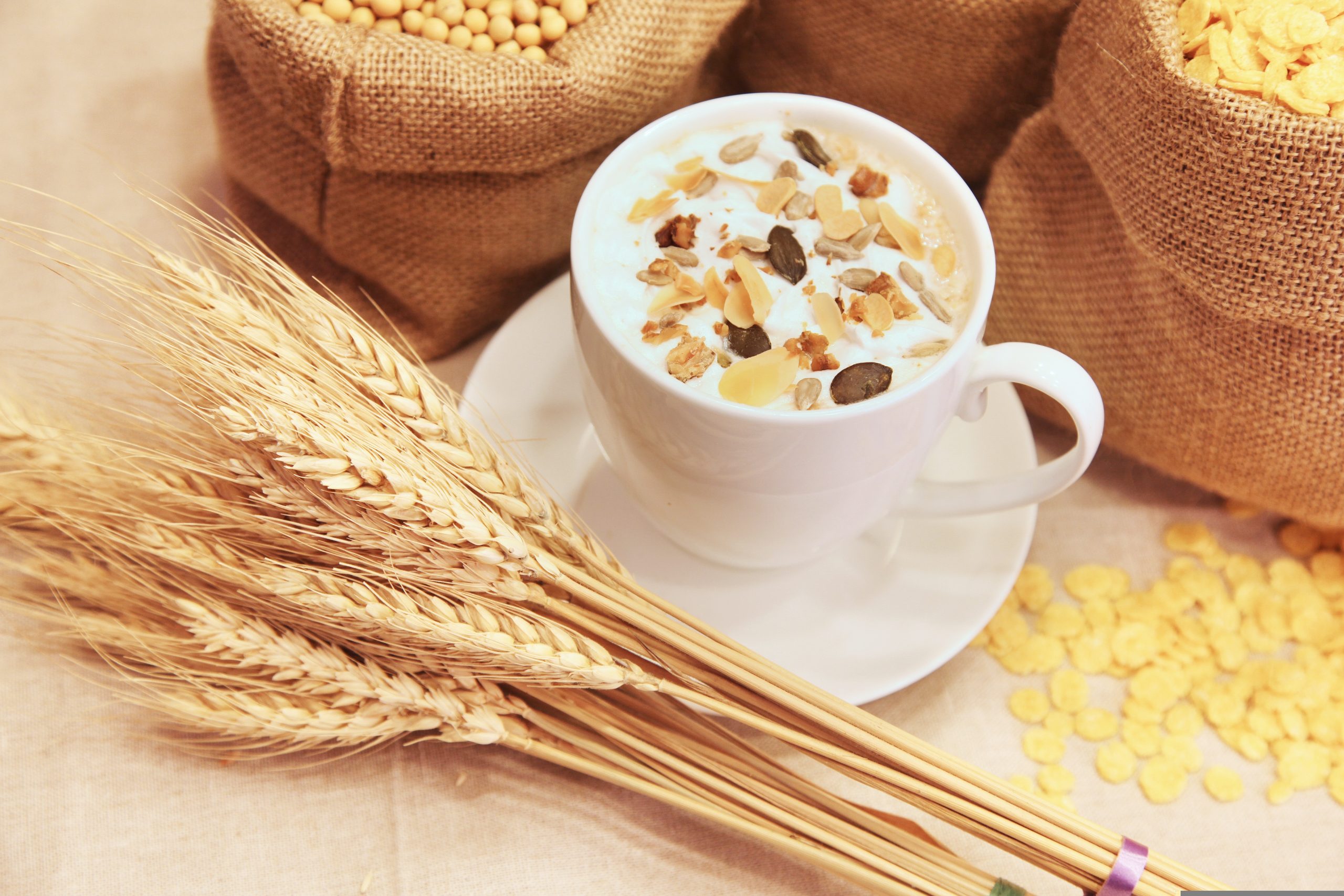 Cereales instantáneos para el Programa Vaso de Leche: qué buscan los proveedores